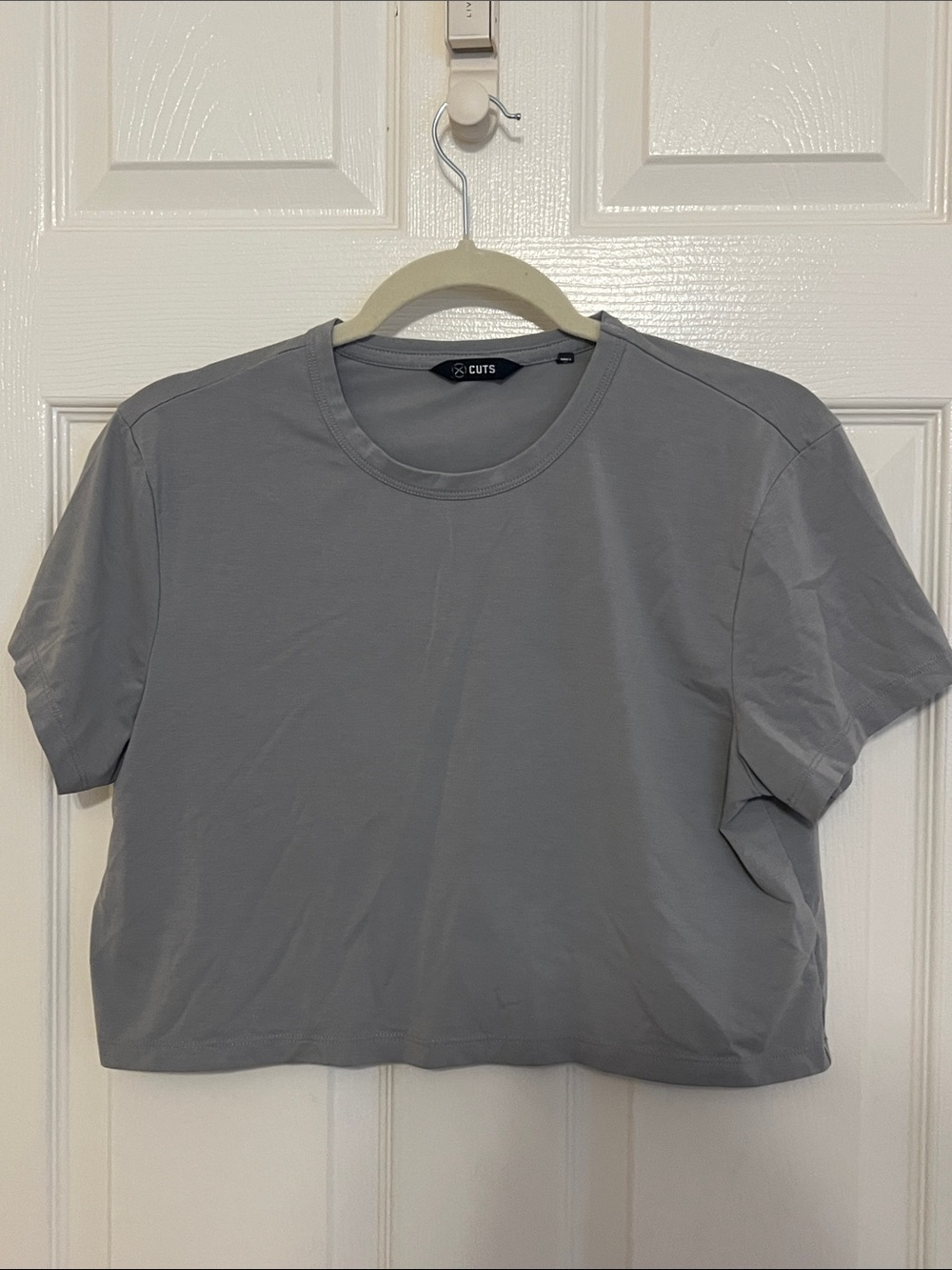 Cuts Clothing Light Gray Crewneck Crop Tee